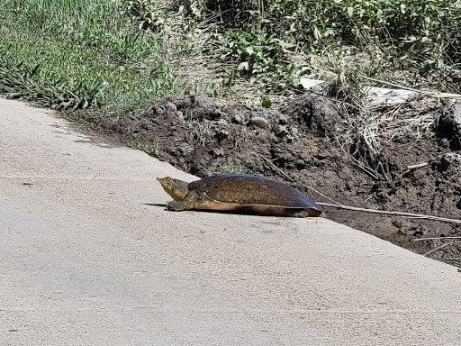 Golf Club «Golf Club of Texas», reviews and photos, 13600 Briggs Ranch, San Antonio, TX 78245, USA