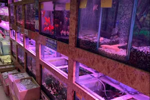 雅麗水族館(橘子店) image