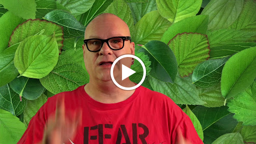 Explore lana del rey tattoo ideas, creative tattoo ideas in Des Moines, available at Axiom Body Piercing Studio