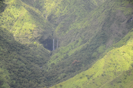 Gym «Planet Fitness», reviews and photos, 53 Marrows Rd, Newark, DE 19713, USA