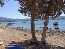 Balpetek beach'in fotoğrafı çok temiz temizlik seviyesi ile