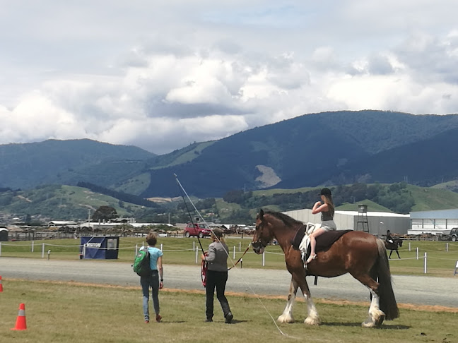 Reviews of Nelson A&P Showgrounds in Richmond - Association