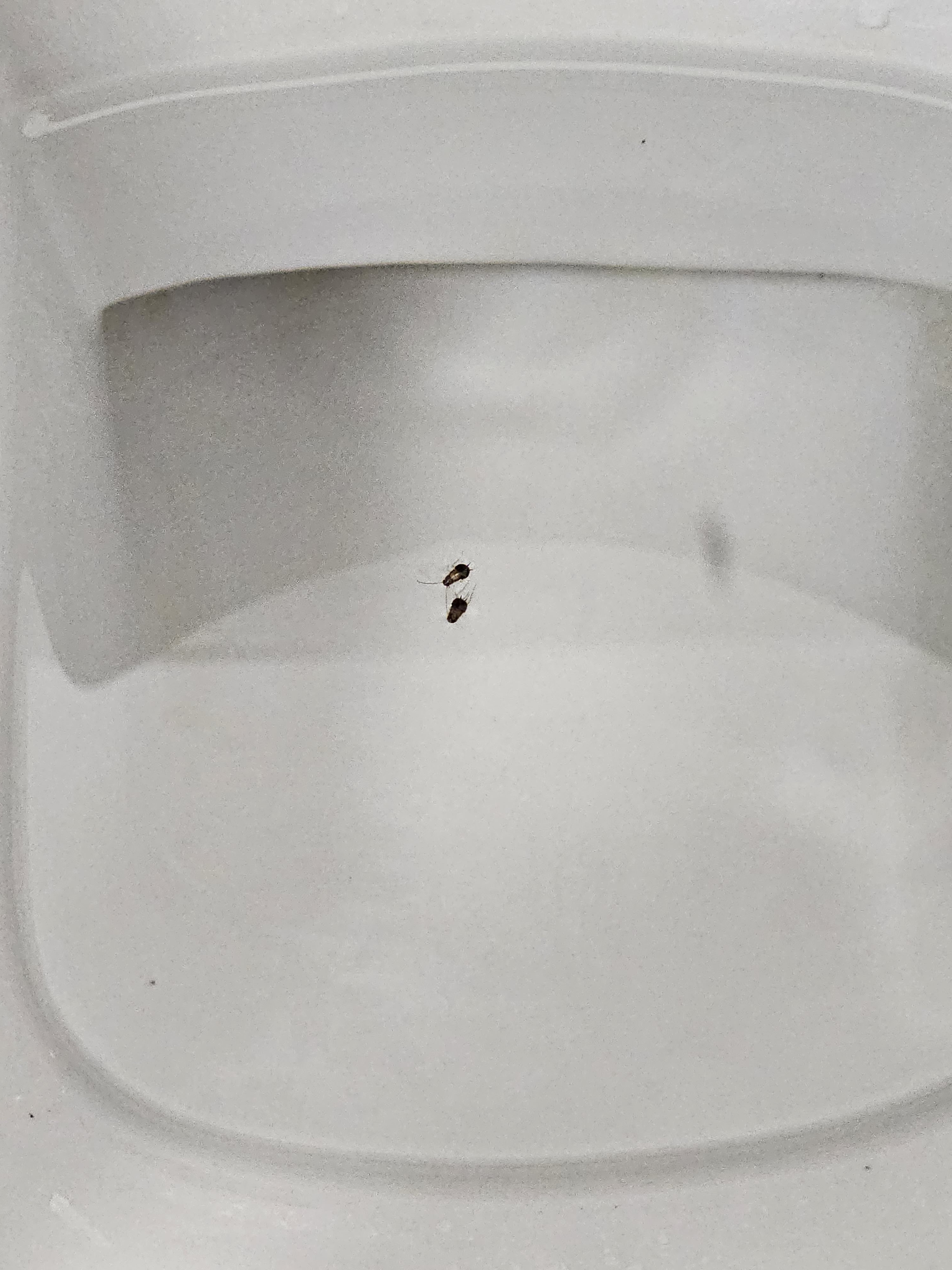 Photo n° 4 de l'avis de Léa. fait le 19/10/2023 à 20:53