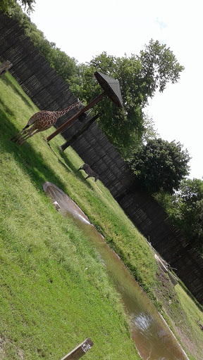 Zoo «Great Plains Zoo & Delbridge Museum of Natural History», reviews and photos, 805 S Kiwanis Ave, Sioux Falls, SD 57104, USA