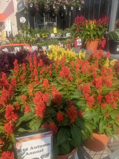 Home Improvement Store «The Home Depot», reviews and photos, 8901 Page Ave, Overland, MO 63114, USA