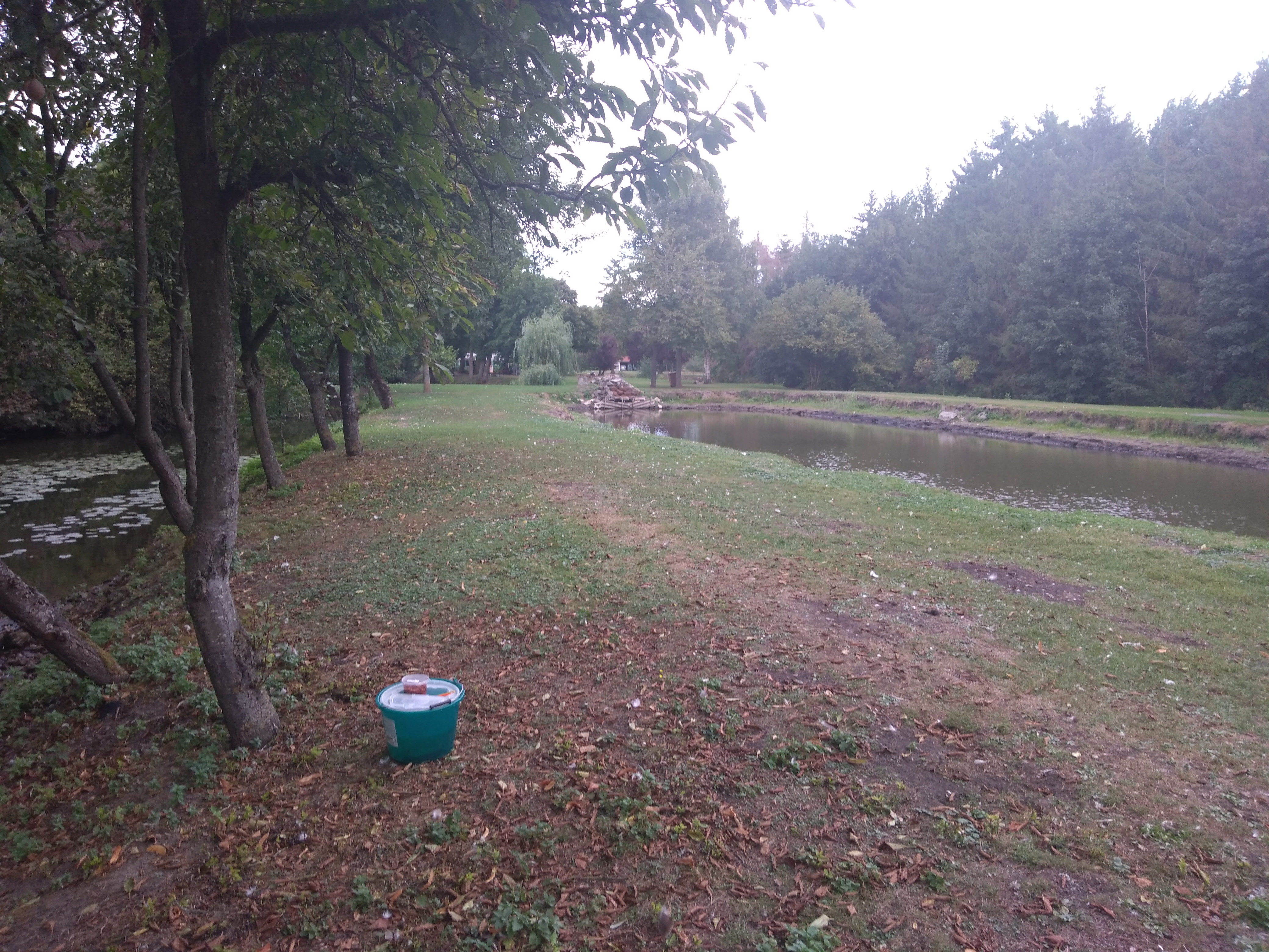 Photo n° 3 de l'avis de Virginie.5 fait le 08/09/2019 à 18:23