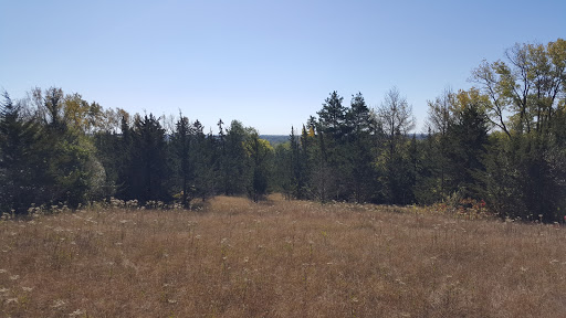 Nature Preserve «Raceway Woods Forest Preserve», reviews and photos, State Rte 31, Carpentersville, IL 60110, USA