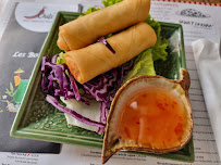 Rouleau de printemps du Restaurant thaï Chili Thai Restaurant à Mulhouse - n°4