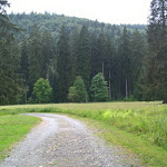 Photo n°2 de l'avis de Miriam.r fait le 21/01/2019 à 15:14 sur le  Waldgaststätte Rinderstall im Nationalpark Harz à Sankt Andreasberg