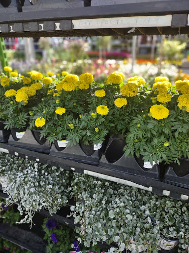 Home Improvement Store «The Home Depot», reviews and photos, 601 Woollomes Ave, Delano, CA 93215, USA