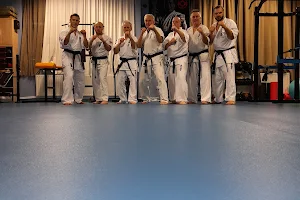Vital Judo Klub image