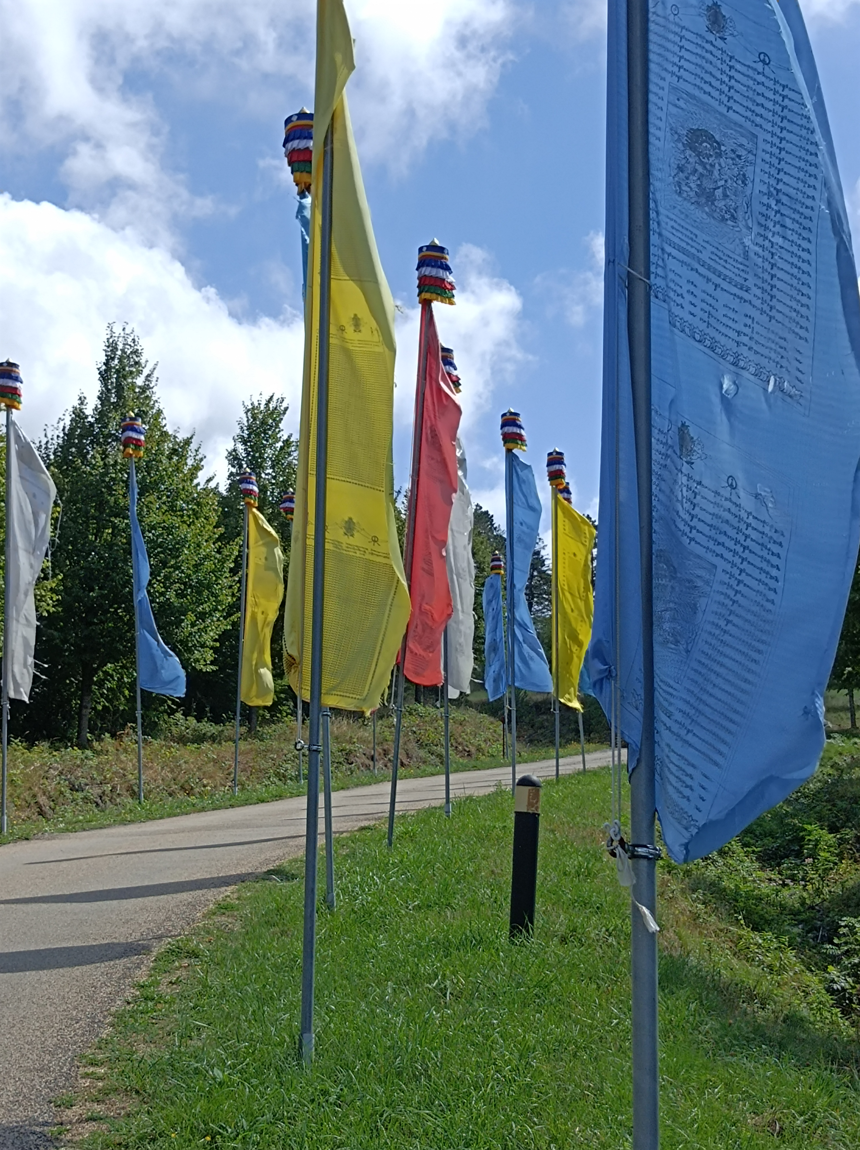 Photo n° 6 de l'avis de Elisabeth.e fait le 04/09/2022 à 20:16