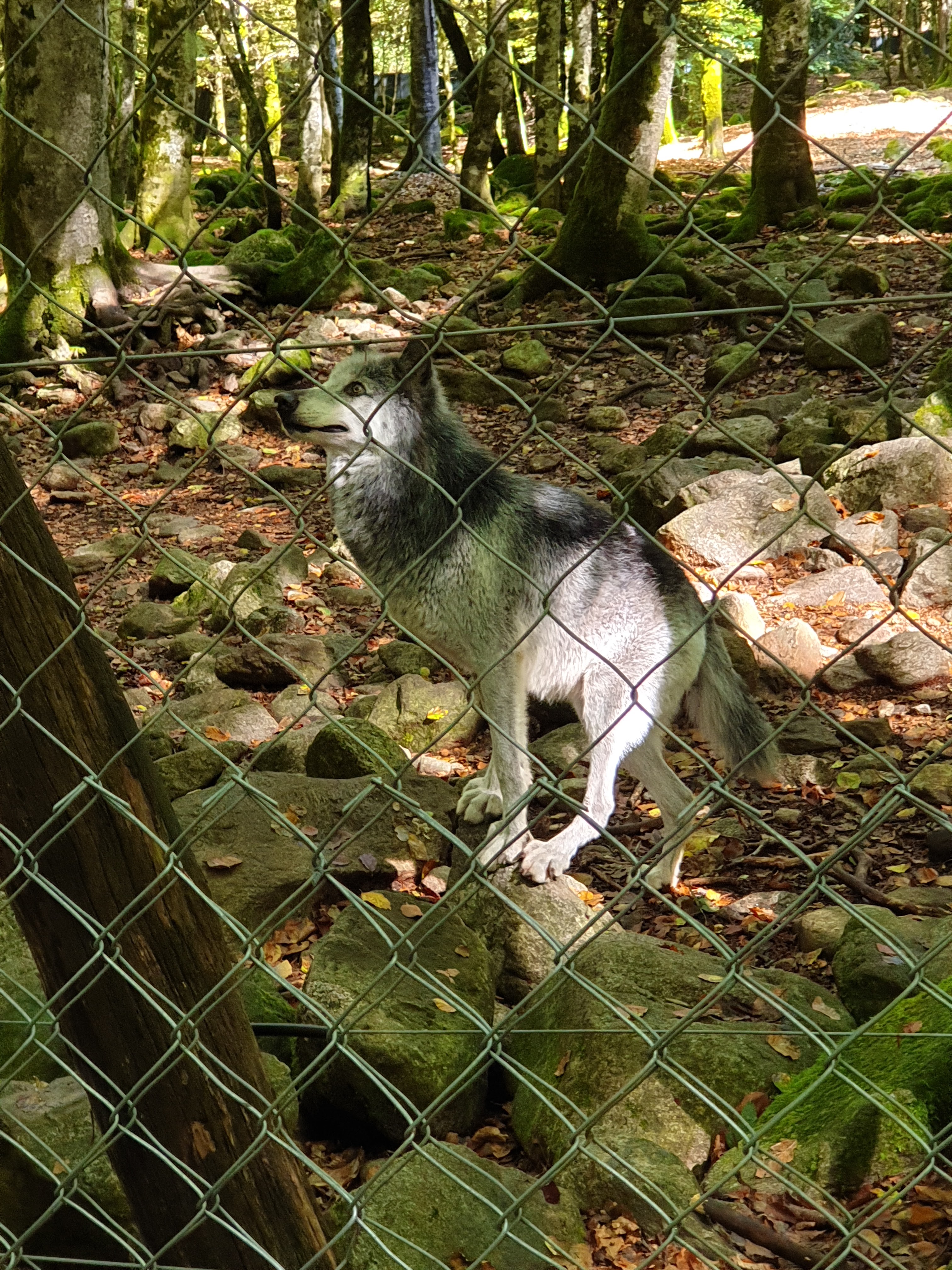 Photo n° 1 de l'avis de Sarah.h fait le 16/09/2020 à 12:45