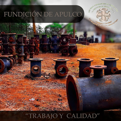 Fundicion de Apulco, S.C.L.