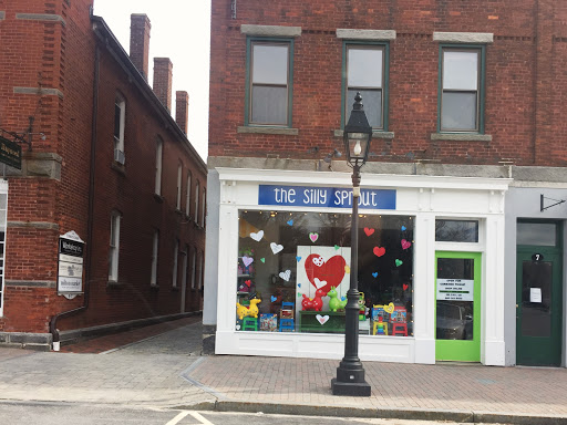 Toy Store «The Silly Sprout», reviews and photos, 469 Bantam Rd, Litchfield, CT 06759, USA