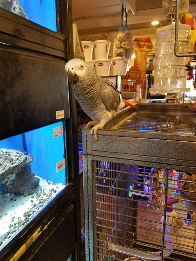 Pet Store «Pets Plus Inc», reviews and photos, 2610 Jefferson Davis Hwy, Stafford, VA 22554, USA
