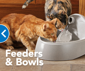 PetSmart image