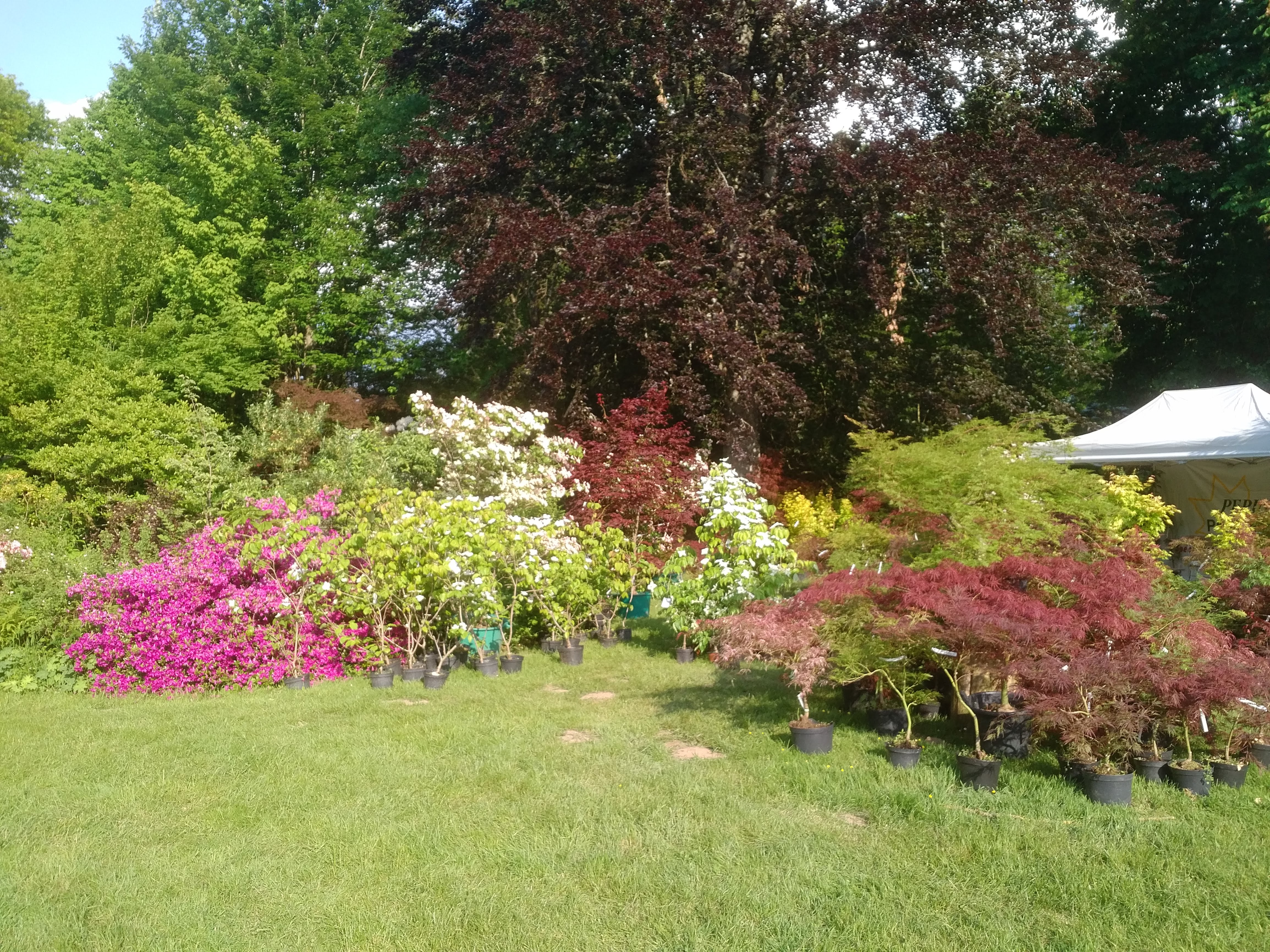Photo n° 2 de l'avis de Emmanuel.a fait le 22/05/2018 à 03:41