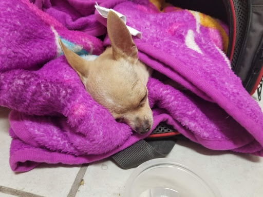 Used Car Dealer «Millennium Auto Sales», reviews and photos, 310 N Val Vista Dr #103, Mesa, AZ 85213, USA