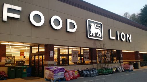 Food Lion, 1 New Clyde Hwy, Canton, NC 28716, USA, 