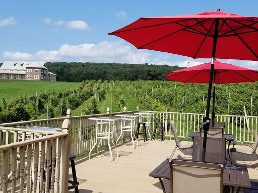 Winery «Spyglass Ridge Winery», reviews and photos, 105 Carroll Rd, Sunbury, PA 17801, USA