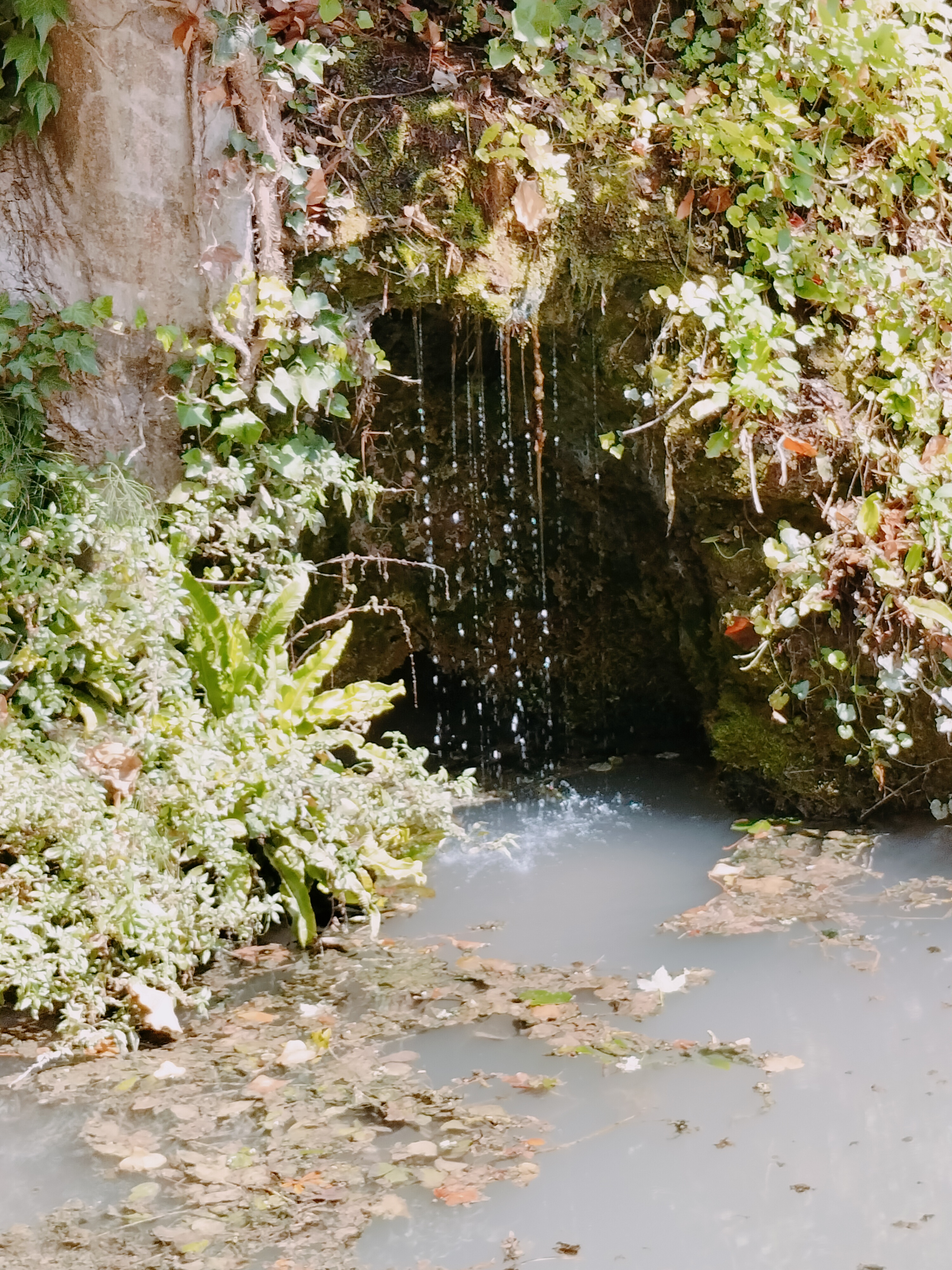 Photo n° 4 de l'avis de Alicia.� fait le 04/08/2023 à 17:36