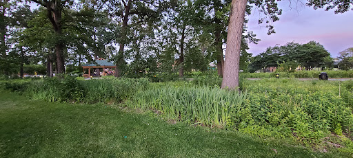 Park «Devonshire Park», reviews and photos, 4422 Greenwood St, Skokie, IL 60076, USA