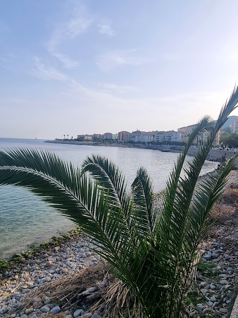 Bellezza Isulana à Ajaccio (Corse 20)