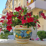 Photo n°7 de l'avis de Francesca. fait le 03/06/2021 à 20:26 sur le  Ristorante Antica Forgia à Tropea