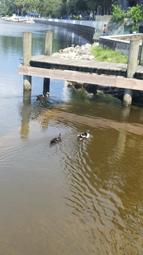 Park «Antonio Maceo Park», reviews and photos, 5135 NW 7th St, Miami, FL 33126, USA