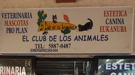El Club de los animales