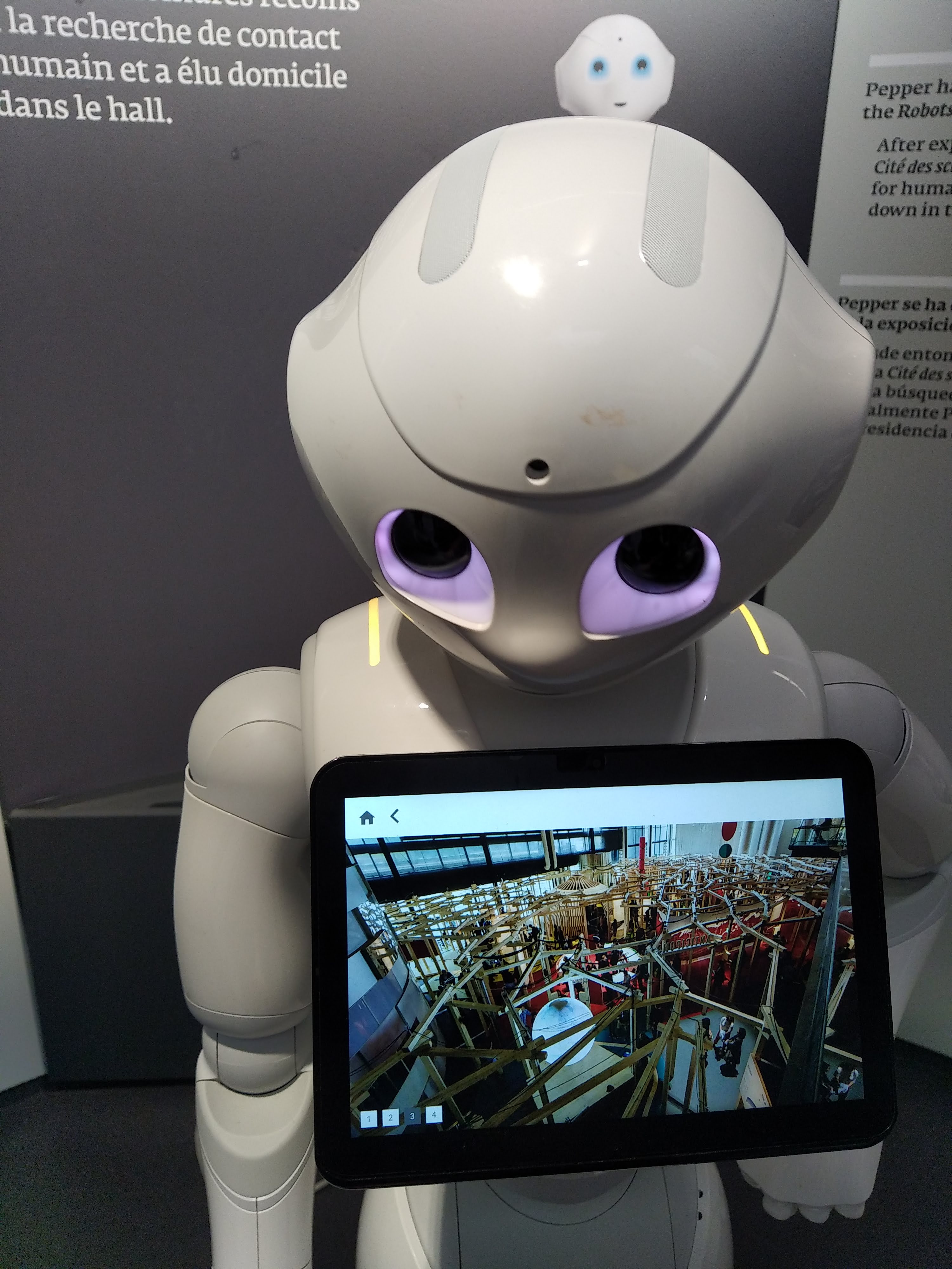 Photo n° 18 de l'avis de Ludovic.e fait le 26/10/2023 à 15:05