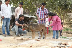 HHFA Animals Hospital and Shelter image