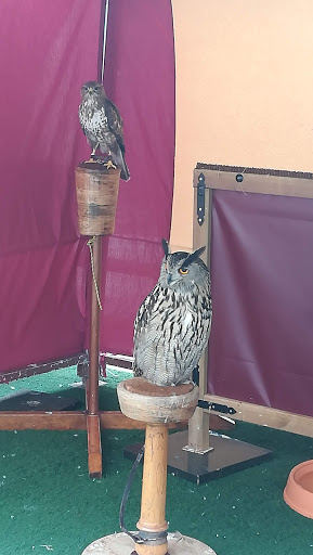 Peluquería laSuiza en Padrón, A Coruña