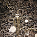 Photo n°1 de l'avis de Ronny.i fait le 21/01/2023 à 09:18 sur le  Heuchelberger Warte à Leingarten