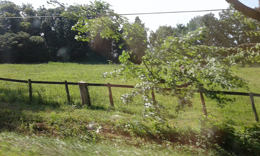 Museum «Steven F. Udvar-Hazy Center», reviews and photos, 14390 Air and Space Museum Pkwy, Chantilly, VA 20151, USA