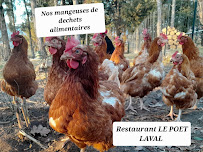 Photos du propriétaire du Restaurant Le Poet-Laval - n°14