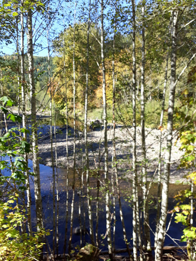 Tourist Attraction «Museum and Event Grounds for Mt. Rainier Railroad and Logging Museum», reviews and photos, 349 Mineral Creek Rd S, Mineral, WA 98355, USA