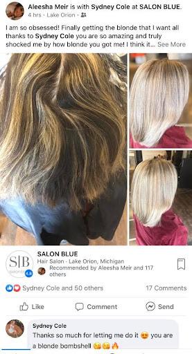 Hair Salon «SALON BLUE», reviews and photos, 668 S Lapeer Rd, Lake Orion, MI 48362, USA