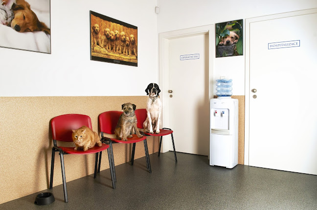 Opinii despre Veterinární klinika Michle - MVDr. David Jíra în Praha - Veterinář