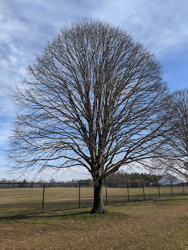 Park «Eisenhower Park», reviews and photos, 1899 Park Blvd, Westbury, NY 11590, USA