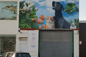 Masmascotas, tienda de animales. Peluquería canina image