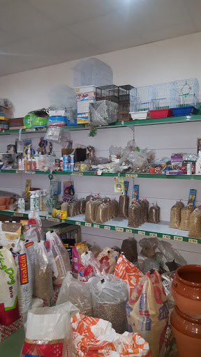 Semilleria Bailly en La Roda de Andalucía, Sevilla