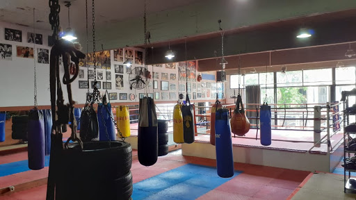 Academia de Boxeo Evandergym