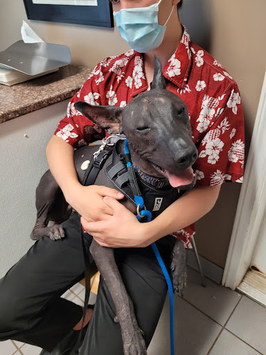 Summerside Animal Hospital image