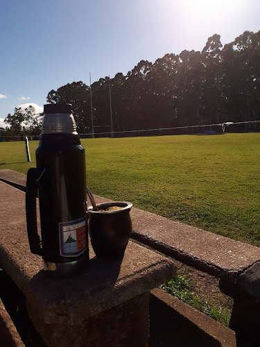 Opiniones de Montevideo Cricket Club en Canelones - Campo de fútbol