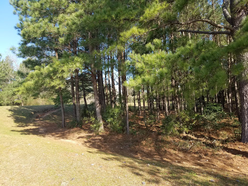 Nature Preserve «Forever Wild Trails», reviews and photos, 384 Narcisse Drive, Dothan, AL 36305, USA