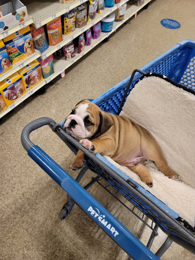 Pet Supply Store «PetSmart», reviews and photos, 6204 W Park Blvd, Plano, TX 75093, USA
