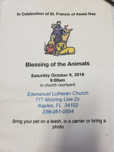 Pet Store «Wholesome Hound», reviews and photos, 198 Tamiami Trail N, Naples, FL 34102, USA