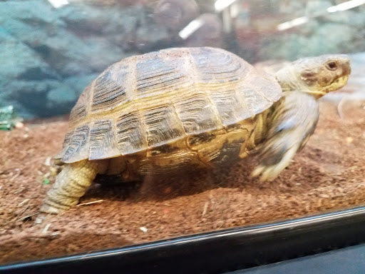 Pet Supply Store «Petco Animal Supplies», reviews and photos, 10 Sylvan St, Peabody, MA 01960, USA